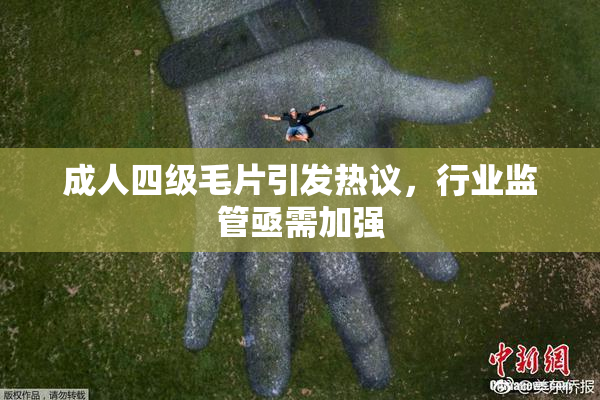 成人四级毛片引发热议，行业监管亟需加强