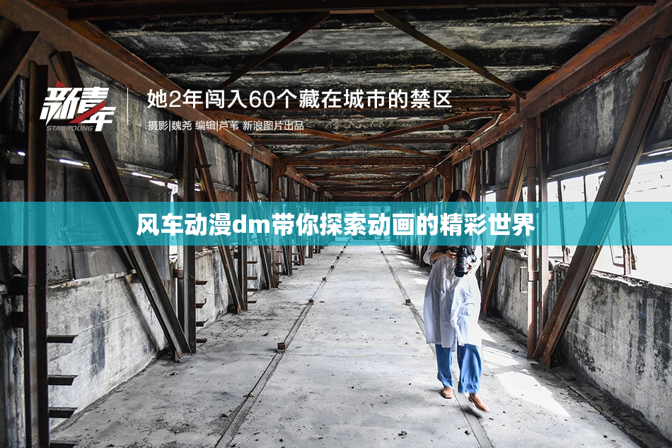 风车动漫dm带你探索动画的精彩世界