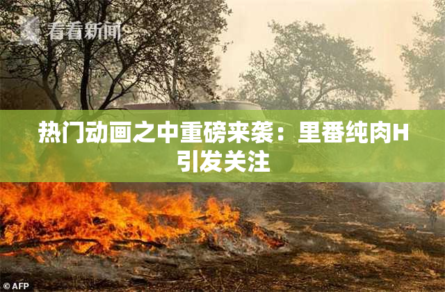 热门动画之中重磅来袭：里番纯肉H引发关注