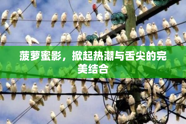 菠萝蜜影，掀起热潮与舌尖的完美结合