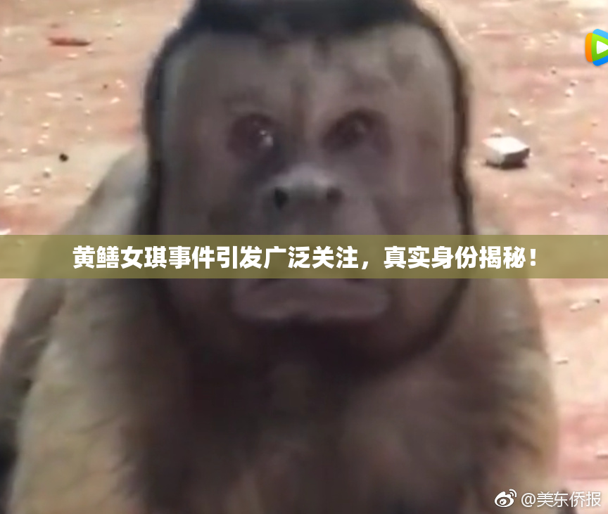 黄鳝女琪事件引发广泛关注，真实身份揭秘！