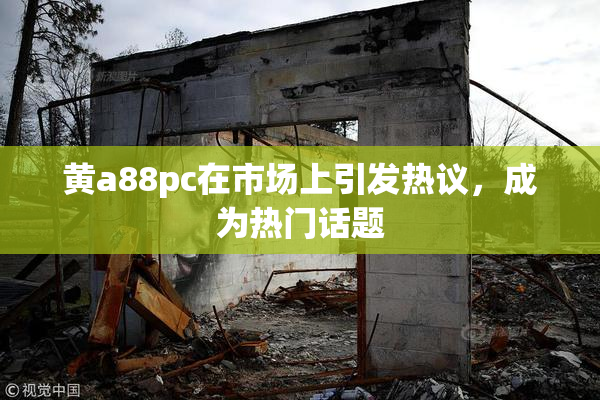 黄a88pc在市场上引发热议，成为热门话题