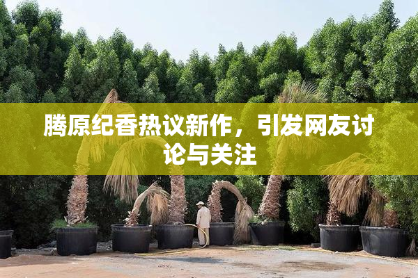 腾原纪香热议新作，引发网友讨论与关注