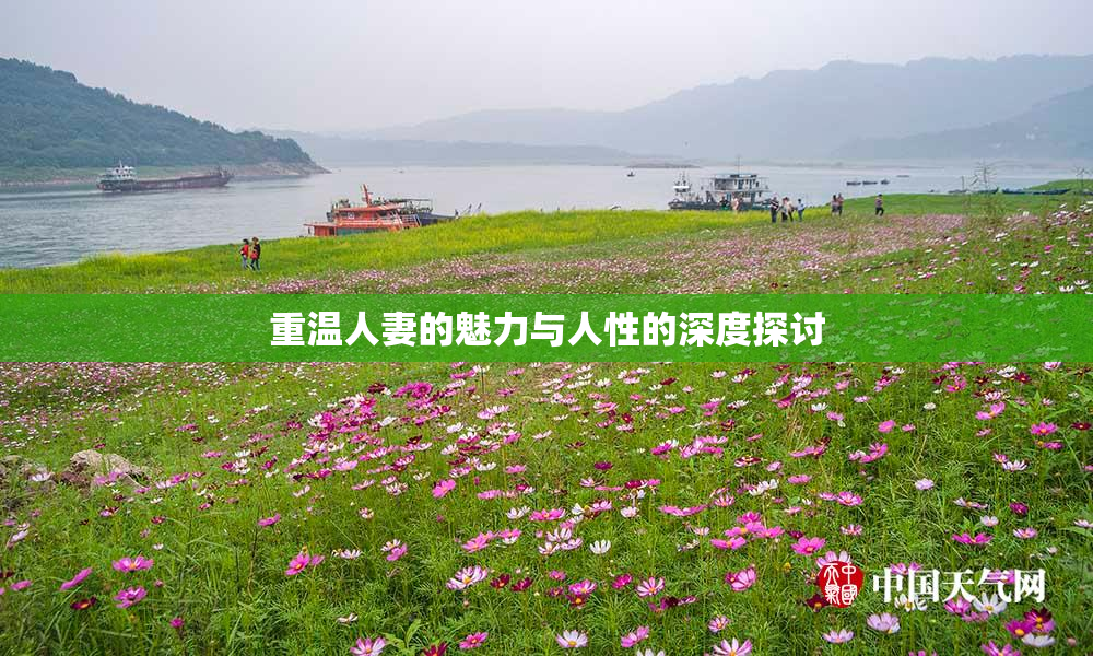 重温人妻的魅力与人性的深度探讨