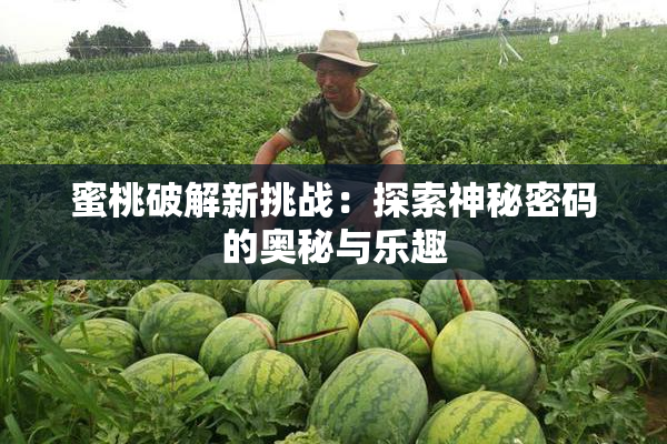 蜜桃破解新挑战：探索神秘密码的奥秘与乐趣