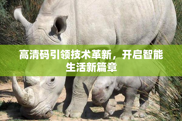 高清码引领技术革新，开启智能生活新篇章