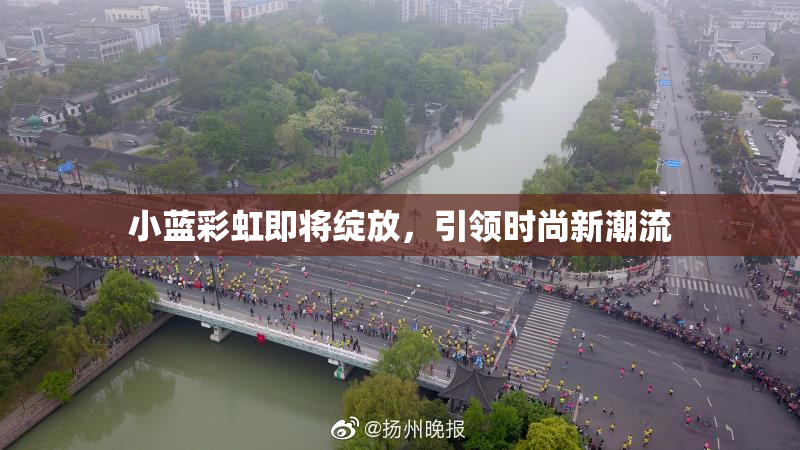 小蓝彩虹即将绽放，引领时尚新潮流