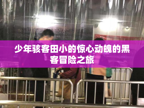 少年骇客田小的惊心动魄的黑客冒险之旅