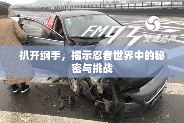 扒开纲手，揭示忍者世界中的秘密与挑战