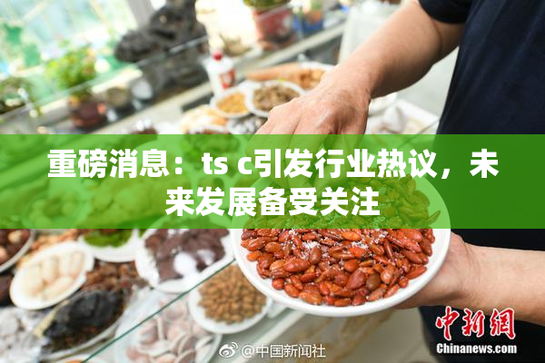 重磅消息：ts c引发行业热议，未来发展备受关注