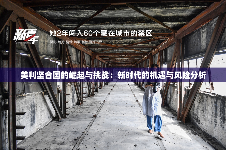 美利坚合国的崛起与挑战：新时代的机遇与风险分析