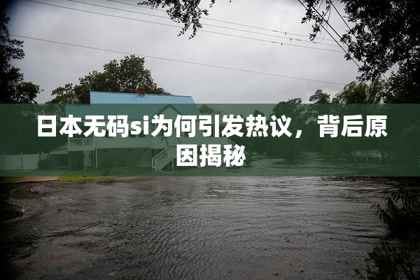 日本无码si为何引发热议，背后原因揭秘