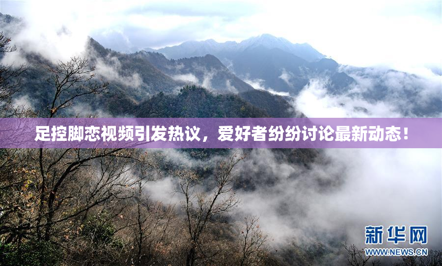 足控脚恋视频引发热议，爱好者纷纷讨论最新动态！