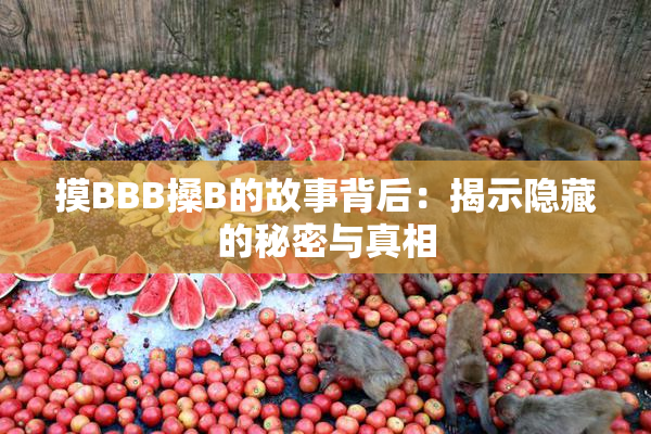 摸BBB搡B的故事背后：揭示隐藏的秘密与真相