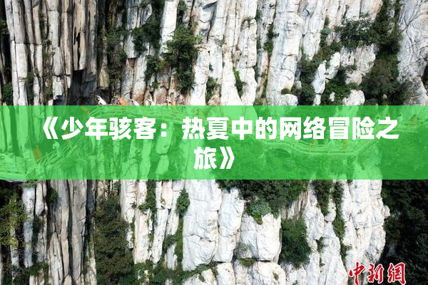 《少年骇客：热夏中的网络冒险之旅》
