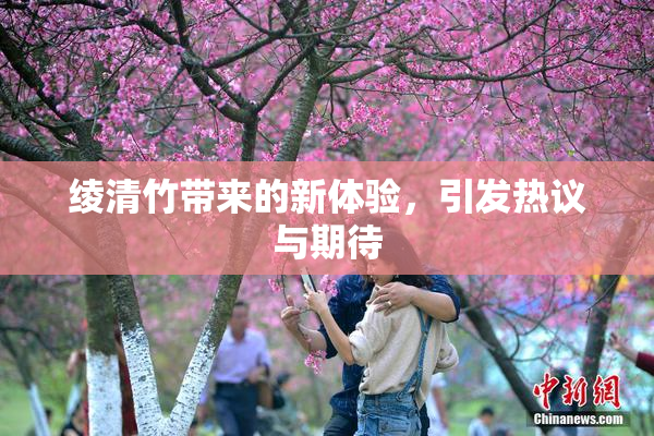 绫清竹带来的新体验，引发热议与期待