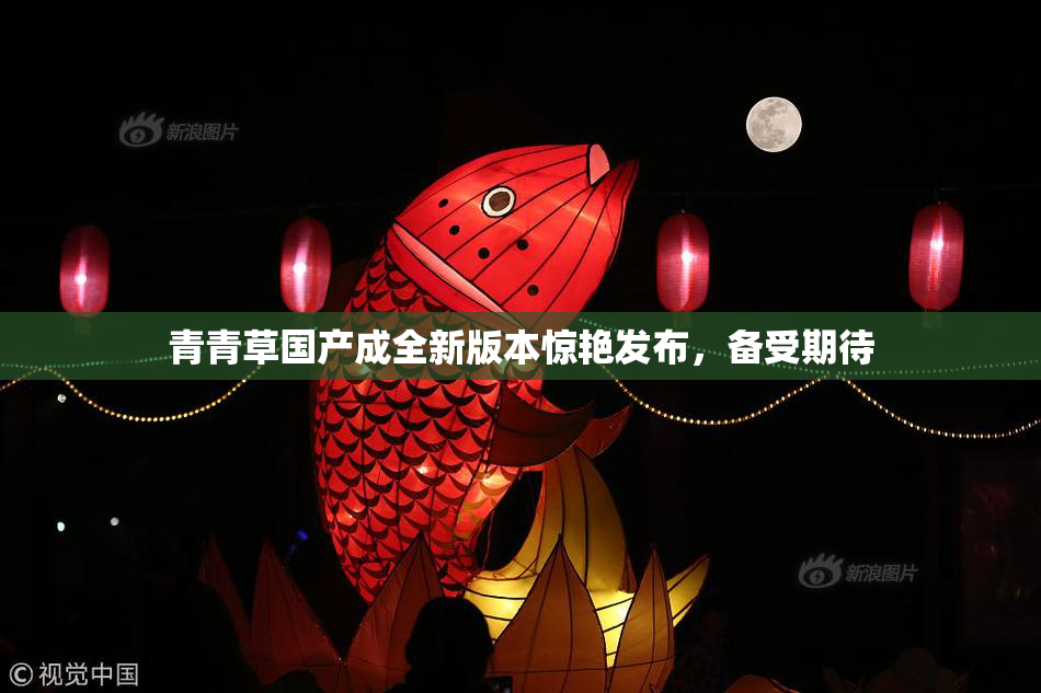 青青草国产成全新版本惊艳发布，备受期待
