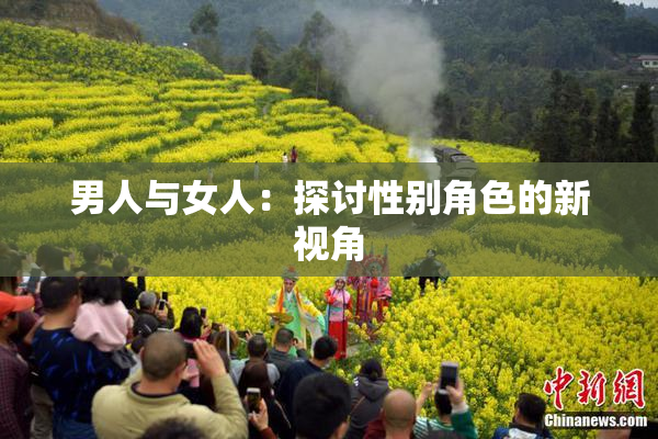 男人与女人：探讨性别角色的新视角