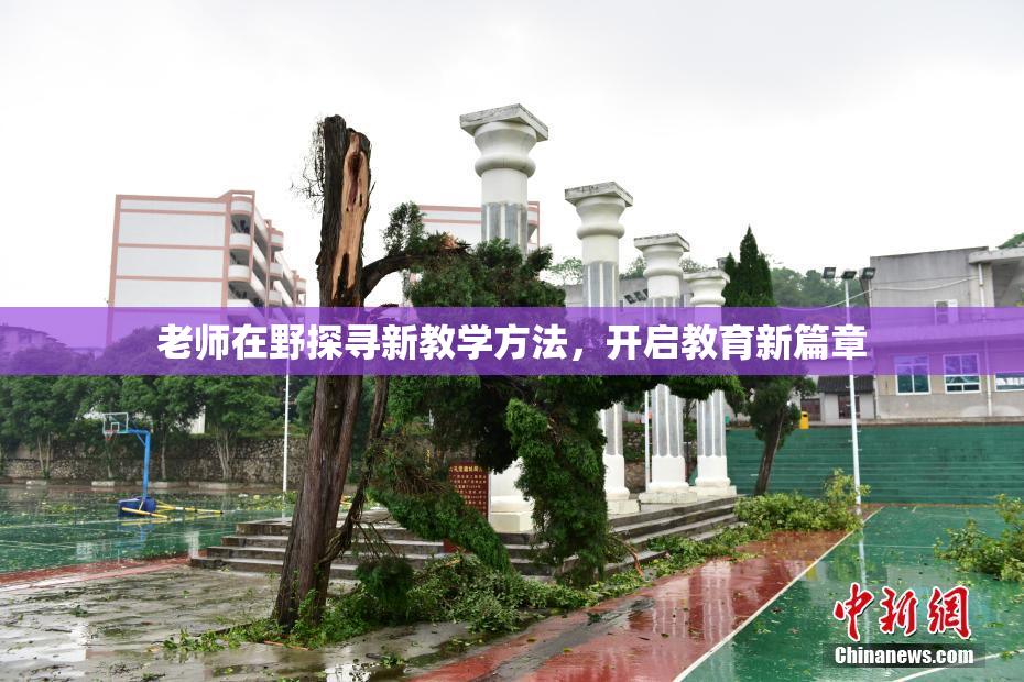 老师在野探寻新教学方法，开启教育新篇章