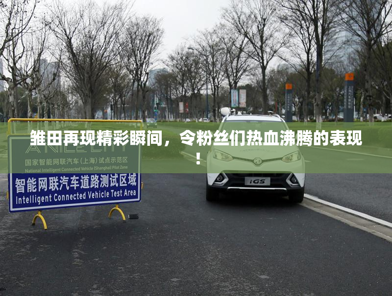 雏田再现精彩瞬间，令粉丝们热血沸腾的表现！