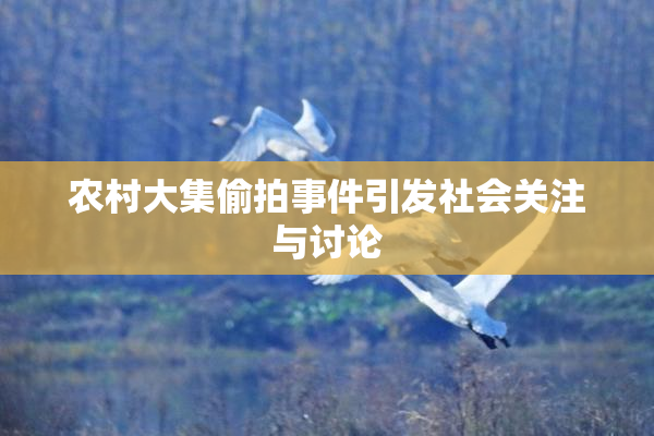 农村大集偷拍事件引发社会关注与讨论