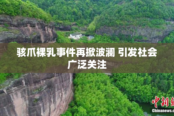 骇爪裸乳事件再掀波澜 引发社会广泛关注