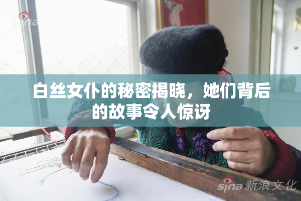 白丝女仆的秘密揭晓，她们背后的故事令人惊讶