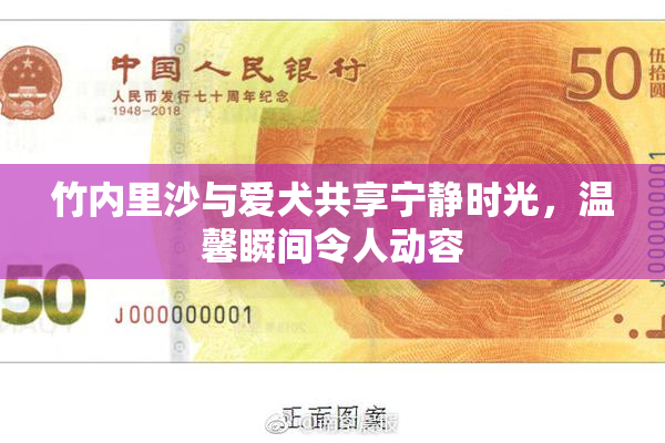 竹内里沙与爱犬共享宁静时光，温馨瞬间令人动容