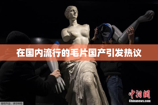 在国内流行的毛片国产引发热议