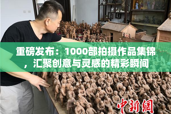 重磅发布：1000部拍摄作品集锦，汇聚创意与灵感的精彩瞬间