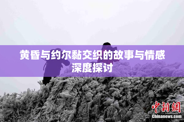 黄昏与约尔黏交织的故事与情感深度探讨