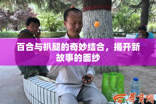 百合与扒腿的奇妙结合，揭开新故事的面纱
