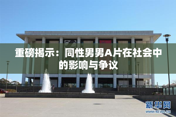 重磅揭示：同性男男A片在社会中的影响与争议