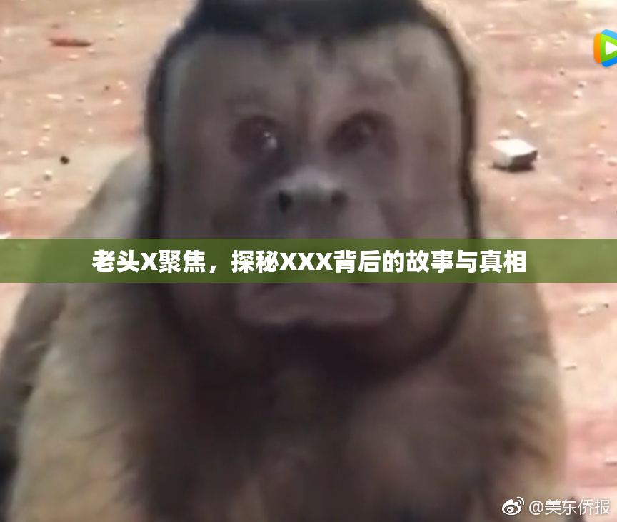 老头X聚焦，探秘XXX背后的故事与真相
