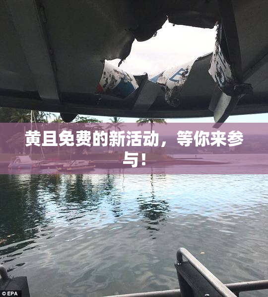 黄且免费的新活动，等你来参与！