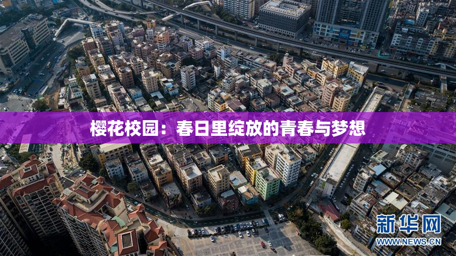 樱花校园：春日里绽放的青春与梦想