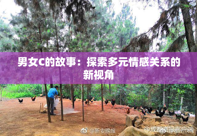 男女C的故事：探索多元情感关系的新视角