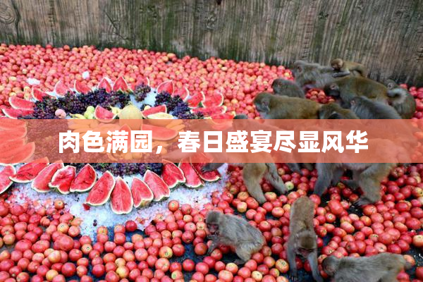 肉色满园，春日盛宴尽显风华