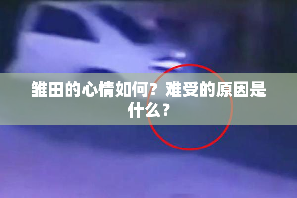 雏田的心情如何？难受的原因是什么？