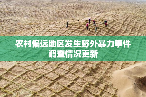 农村偏远地区发生野外暴力事件调查情况更新