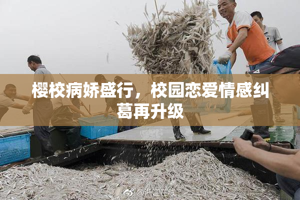 樱校病娇盛行，校园恋爱情感纠葛再升级