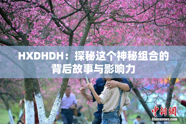 HXDHDH：探秘这个神秘组合的背后故事与影响力