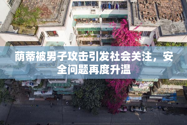 荫蒂被男子攻击引发社会关注，安全问题再度升温
