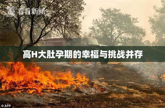 高H大肚孕期的幸福与挑战并存