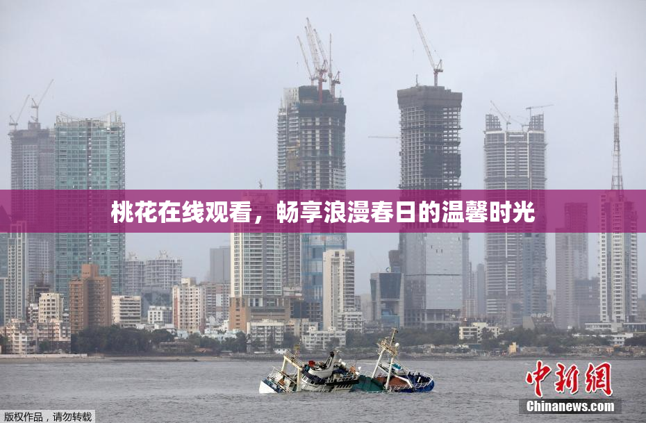 桃花在线观看，畅享浪漫春日的温馨时光
