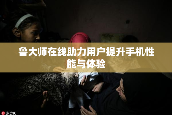 鲁大师在线助力用户提升手机性能与体验