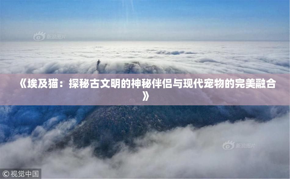 《埃及猫：探秘古文明的神秘伴侣与现代宠物的完美融合》
