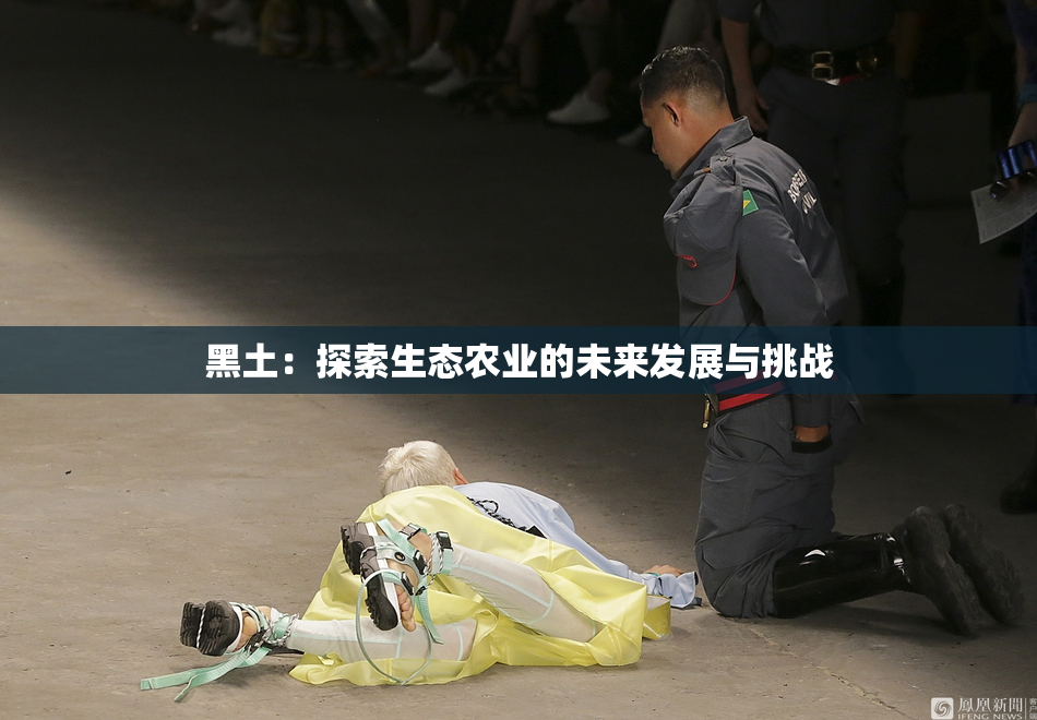 黑土：探索生态农业的未来发展与挑战