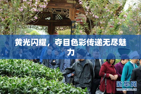 黄光闪耀，夺目色彩传递无尽魅力