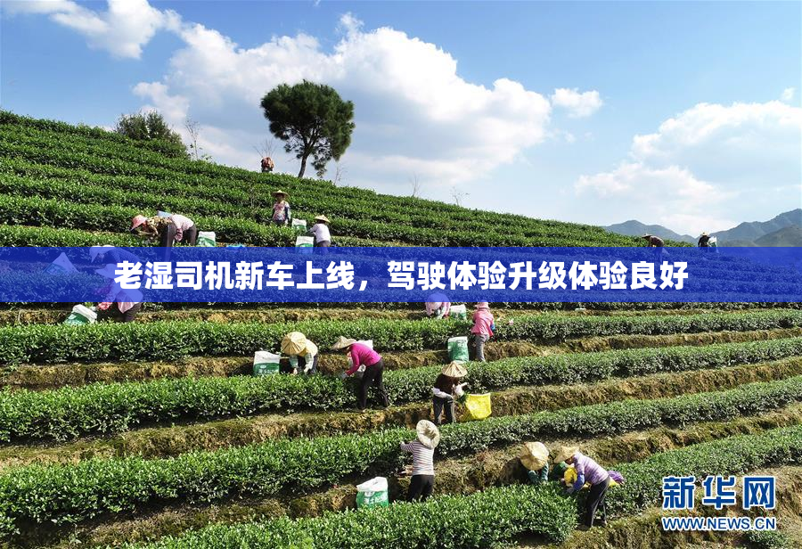 老湿司机新车上线，驾驶体验升级体验良好